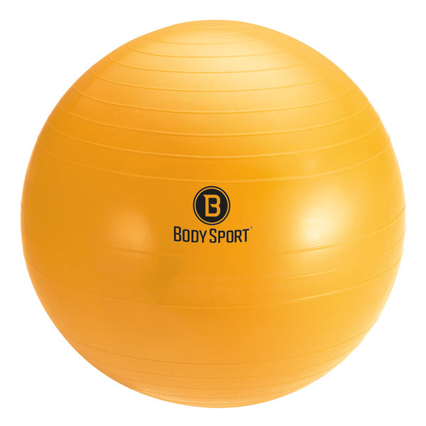 Body Sport&reg; Fitness Balls with Pump Variety Pack