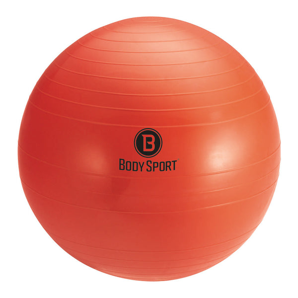 Body Sport&reg; Fitness Balls with Pump Variety Pack